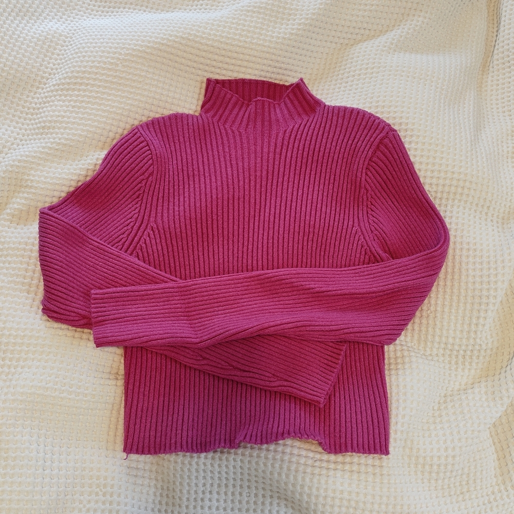 Zara Fuchsia Ribbed Turtleneck Sweater